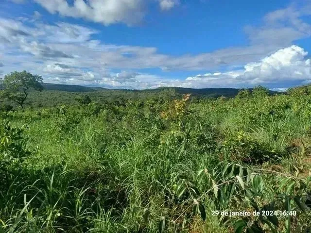Imagem: Fazenda À Venda, 376 Hectares,Com Minerio