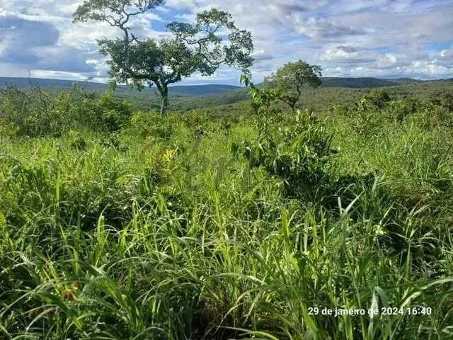 Imagem 3: Fazenda À Venda, 376 Hectares,Com Minerio de Ferro, Salinas - Mg