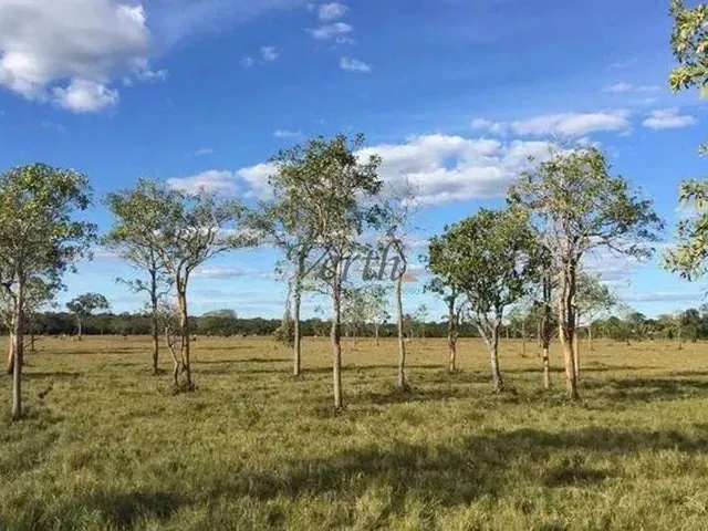 Imagem: Fazenda na Chapada Gaúcha em Minas Gerais