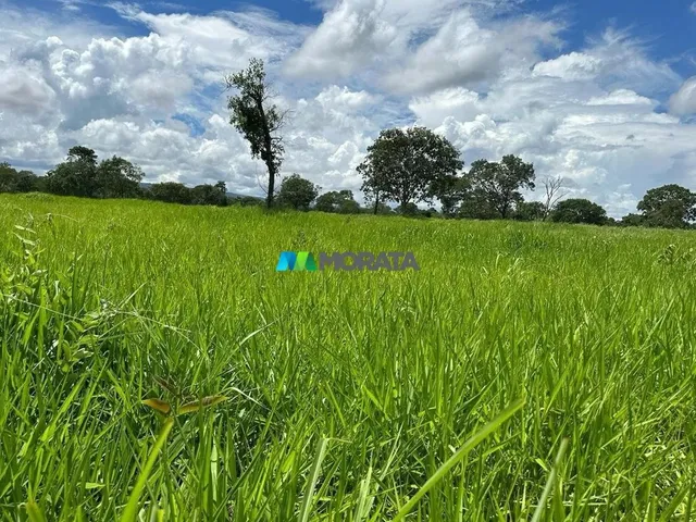 Imagem 7: Fazenda À Venda - 1.783 Hectares - Corinto (Mg