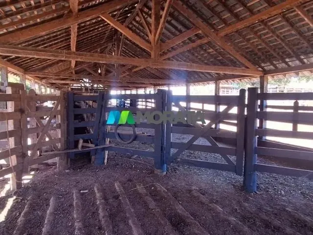Imagem 6: Fazenda À Venda - 1.783 Hectares - Corinto (Mg