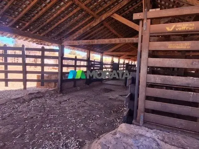 Imagem 12: Fazenda À Venda - 1.783 Hectares - Corinto (Mg
