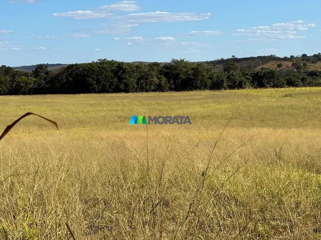 Imagem: Fazenda À Venda - 165 Hectares - Região