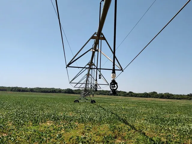 Imagem: Fazenda À Venda de 497,00 Ha para Agricultura