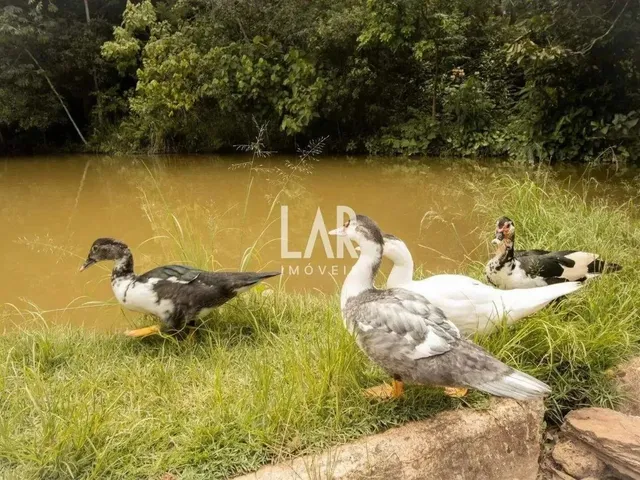 Imagem 4: Lote em Condomínio À Venda, Veredas das Geraes - Nova Lima/Mg
