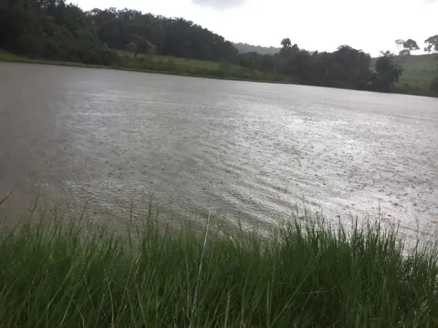 Imagem 3: Fazenda / Sítios / Chácaras com 3 Quartos À Venda em Esmeraldas