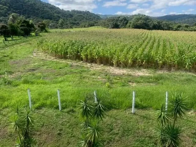 Imagem 11: Fazenda / Sítios / Chácaras com 3 Quartos À Venda em Esmeraldas