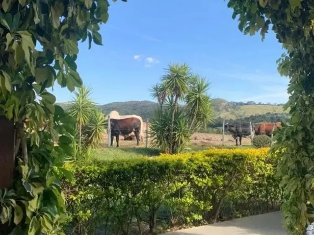 Imagem 2: Fazenda / Sítios / Chácaras com 3 Quartos À Venda em Esmeraldas