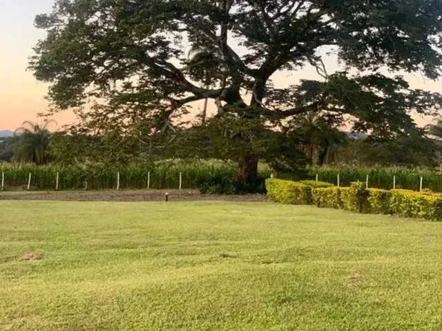 Imagem 9: Fazenda / Sítios / Chácaras com 3 Quartos À Venda em Esmeraldas