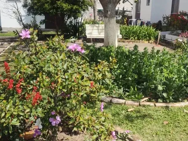 Imagem 2: Apartamento 2 Quartos em Canasvieiras - Florianópolis - Sc
