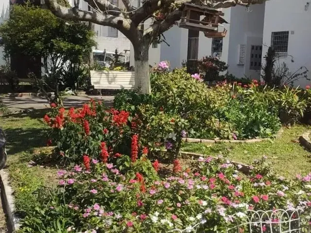 Imagem 3: Apartamento 2 Quartos em Canasvieiras - Florianópolis - Sc