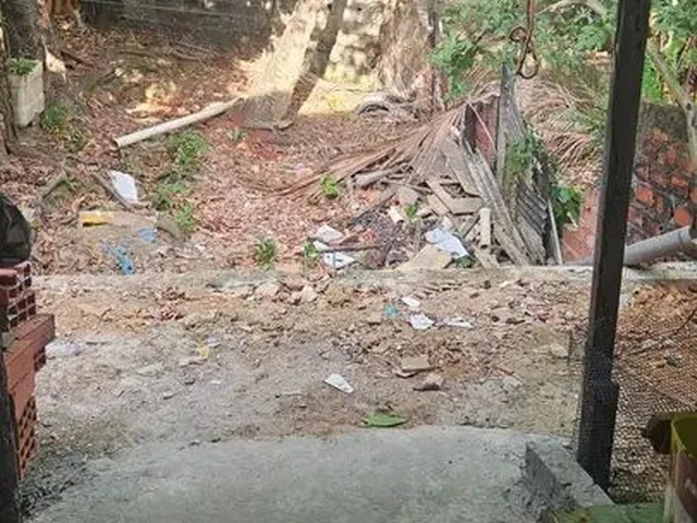 Imagem 6: Casa em Plataforma com Quintal