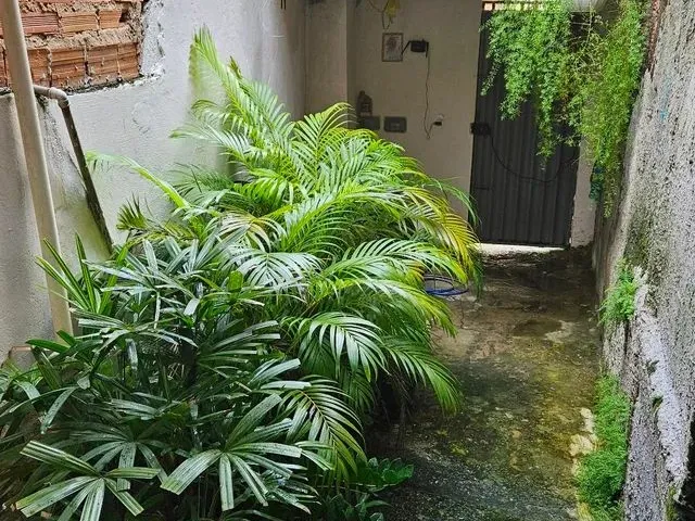Imagem 7: Casa em Plataforma com Quintal