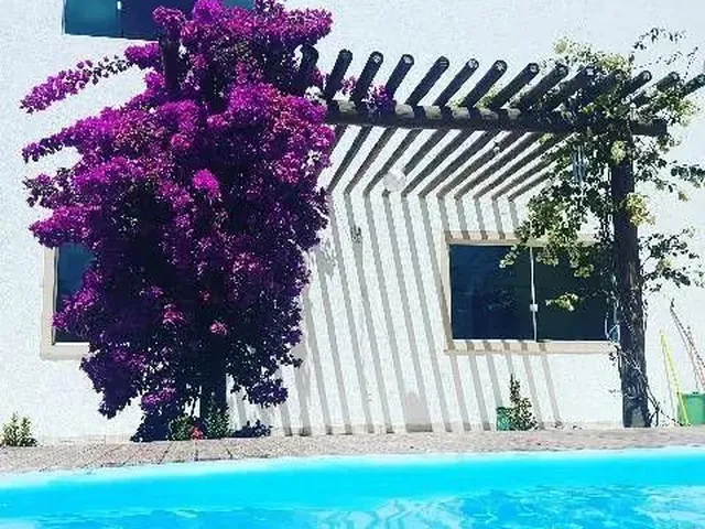 Imagem: Linda Casa Barra de Jacuipe
