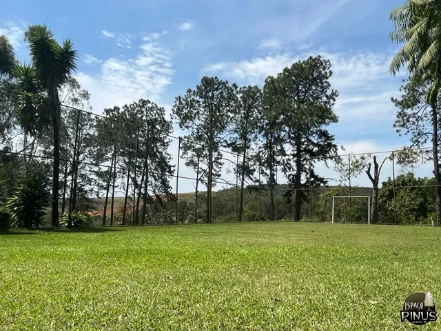 Imagem 13: Granjas para Alugar em Juiz de Fora