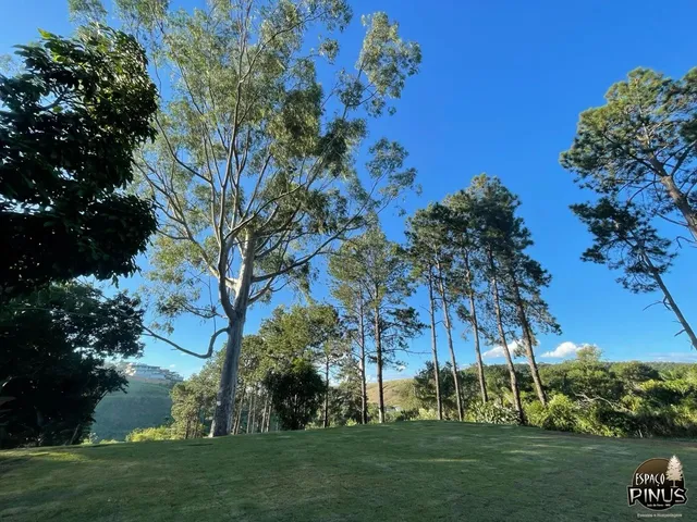 Imagem 12: Granjas para Alugar em Juiz de Fora