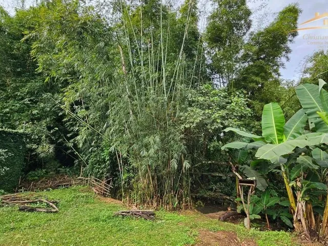 Imagem 13: Casa com 4 Dormitórios À Venda, 240 M² por R$ 400.000,00 - Porto de Cima - Morretes/Pr