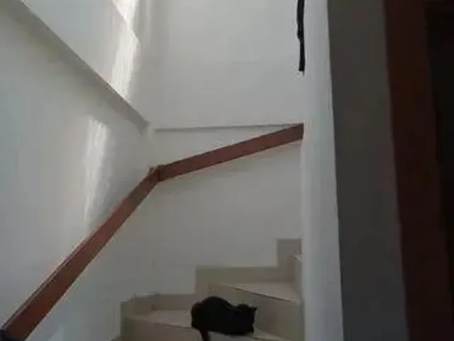 Imagem 2: Casa À Venda em Encruzilhada