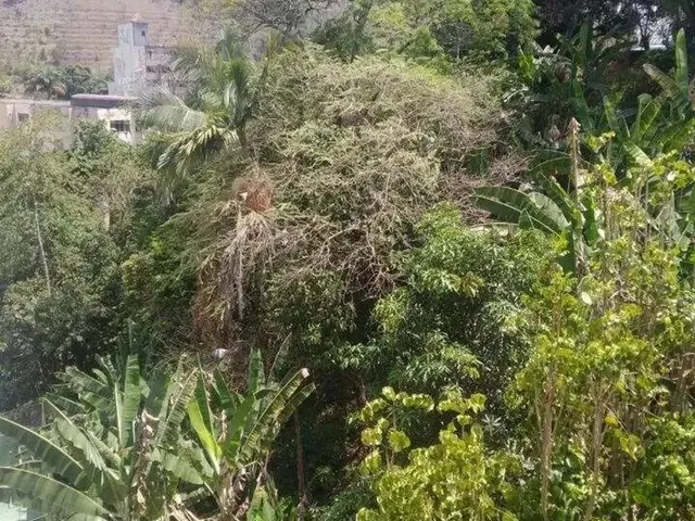 Imagem 11: Casa Centro Ponte Nova Mg