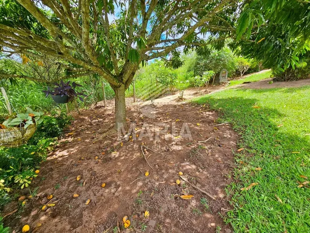 Imagem 14: Casa Solta com 5 Quartos e Área de Lazer Completa,Em Gravatá/Pe, com Linda Vista!!
