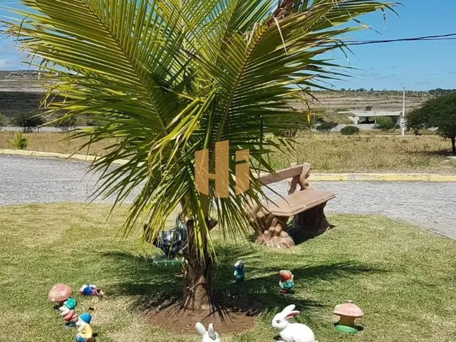 Imagem 4: Oportunidade Imperdível no Hotel Canarius, em Gravatá!