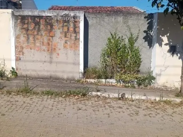 Imagem: Oportunidade Única em Belo Jardim - Pe