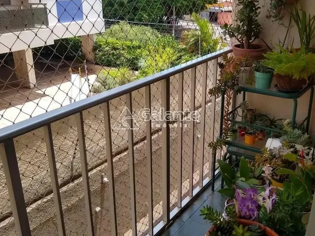Imagem 6: Apartamento - Cambuí - Campinas