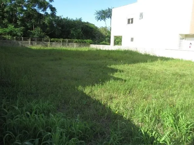 Imagem 3: Ótimo Terreno Plano - 450M² - em Área Residencial