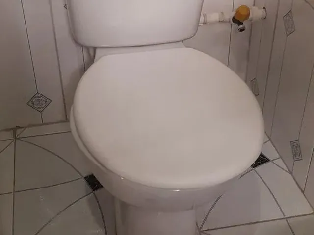 Imagem 9: Aluguel de Casa Casa com 2 dormitórios