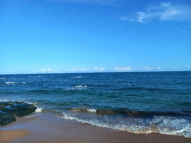 Imagem 15: Apartamento Tipo Studio em Frente a Praia da Pituba Mobiliado e Decorado