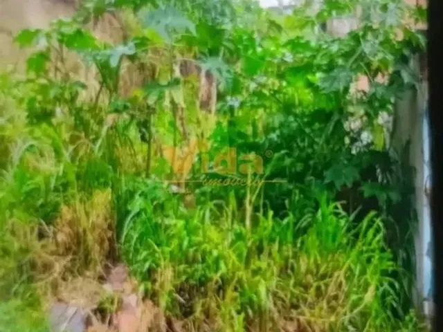 Imagem: Terreno À Venda, Chácara santa Cecília