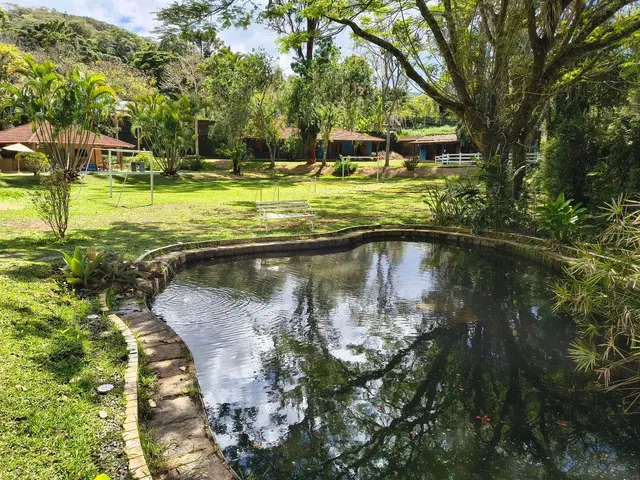 Imagem 10: Itaipava (Manga Larga) - Sítio com 10.000M²