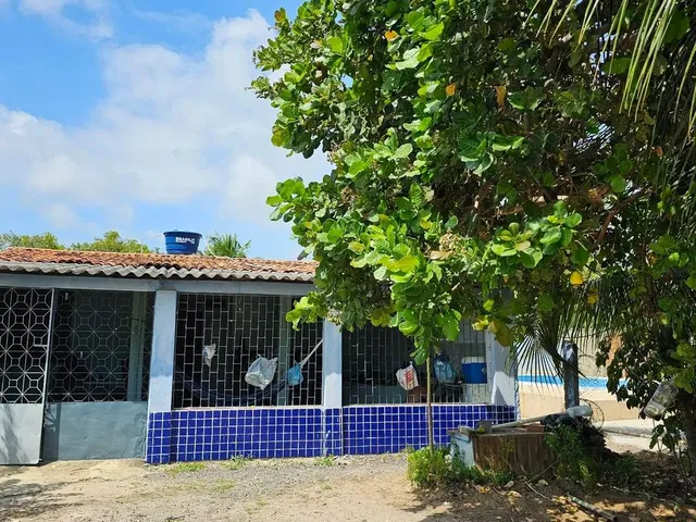 Imagem: Casa no Povoado Porto do Mato (Praia do