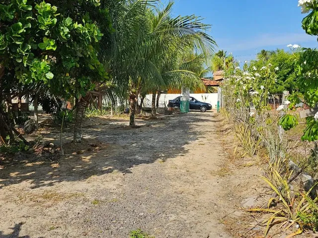 Imagem 7: Casa no Povoado Porto do Mato (Praia do Saco
