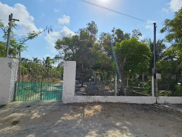 Imagem 11: Casa no Povoado Porto do Mato (Praia do Saco