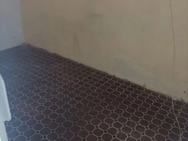 Imagem 4: Aluga-Se Casa Casa com 2 dormitórios