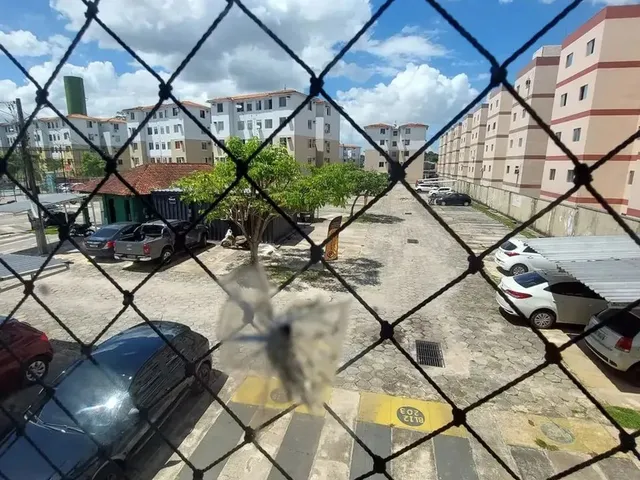Imagem 11: Su02- Aluga-Se Ideal Samambaia