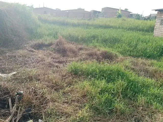 Imagem: Vende-Se Terreno no Operário
