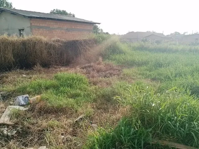 Imagem 2: Vende-Se Terreno no Operário