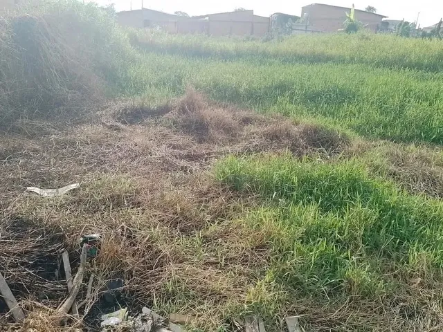 Imagem 3: Vende-Se Terreno no Operário
