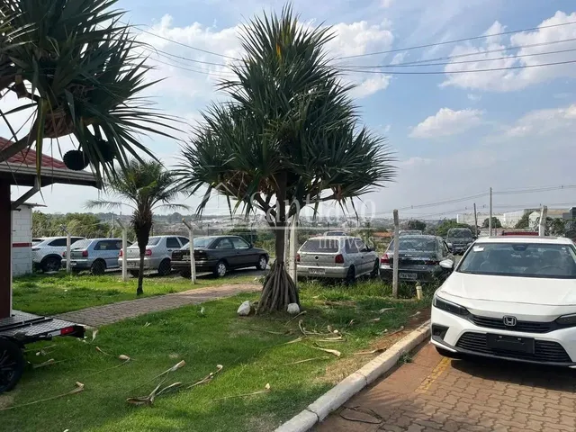 Imagem 4: Área - Parque Santo Antônio (Nova Veneza) - Sumaré