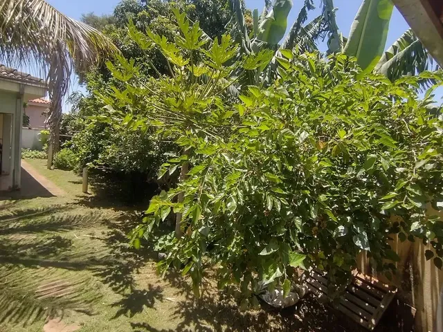 Imagem 13: Vende-Se Casa com Acesso a Represa em Carlopolis Pr