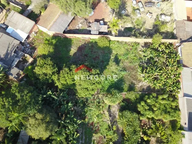 Imagem 13: Casa em Hérculo Romagnoli - Conjunto Afonso Sarabia - Ibiporã/Pr