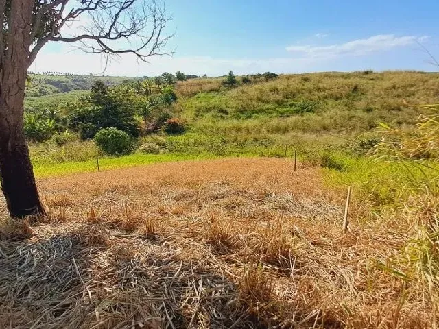 Imagem 4: Terreno 2 Min da Lagoa do Siri