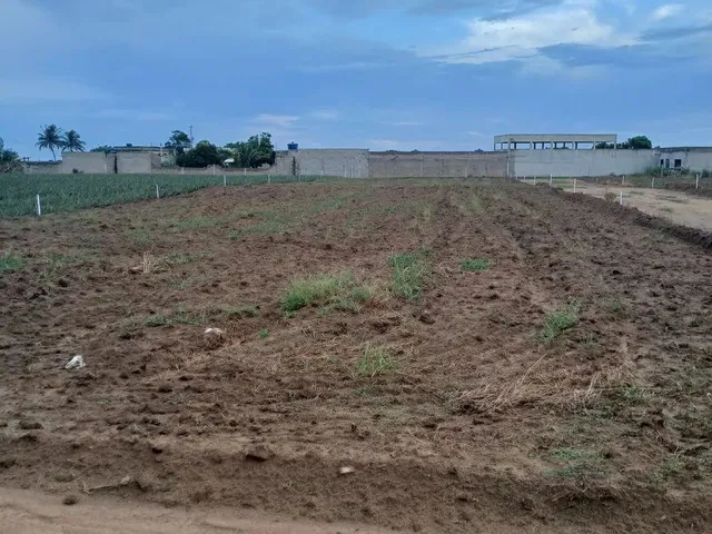 Imagem 2: Lotes em Marataízes - 2,5 Km da Lagoa do Siri