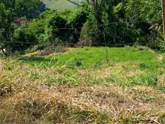 Imagem: Terreno na Estrada da Samarco/ Alegre Es