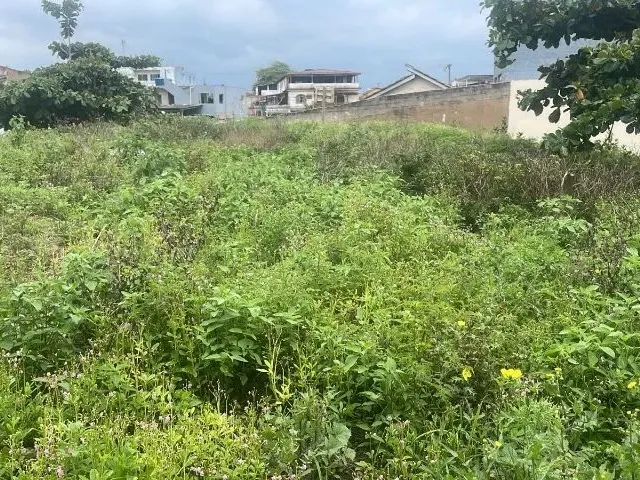 Imagem 2: Terreno em Marataizes