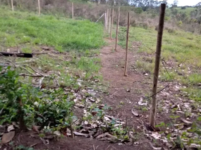 Imagem 6: Oportunidade Lotes a 5 Min da Praia do Centro a Pé