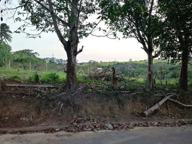 Imagem 7: Oportunidade Lotes a 5 Min da Praia do Centro a Pé