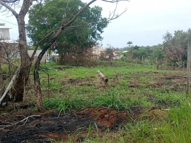 Imagem 3: 2 Terrenos Contínuos em Lagoa do Siri Próximo a Rod. do Sol